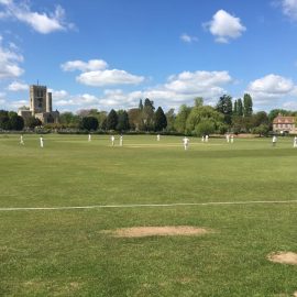 Weekly roundup – A weekend to forget for The Meadowmen 13/5