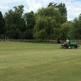 Outfield to be cordoned off for maintenance