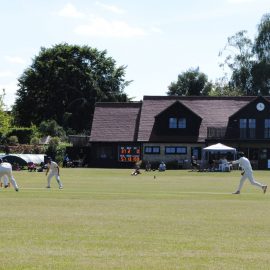 Weekly Roundup – 2nd XI victorious and Saxons edge thriller 12/6/21