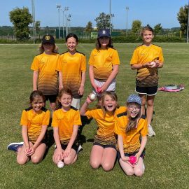 Tigers Roar into Action…